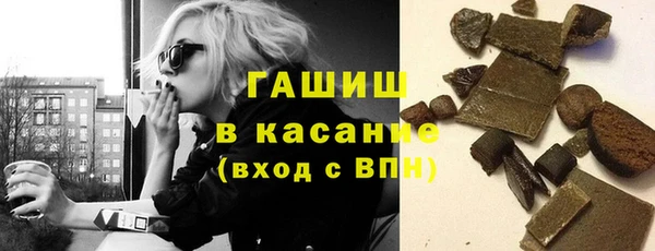 хмурый Алексин