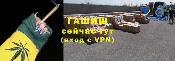 хмурый Алексин