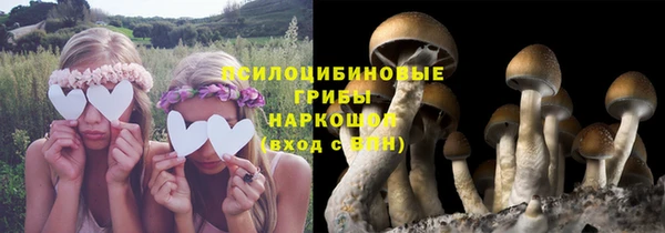 дурь Алзамай