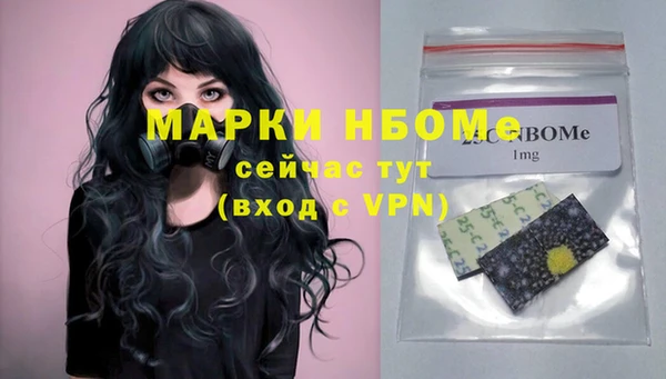хмурый Алексин