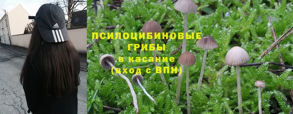 хмурый Алексин