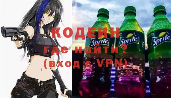хмурый Алексин