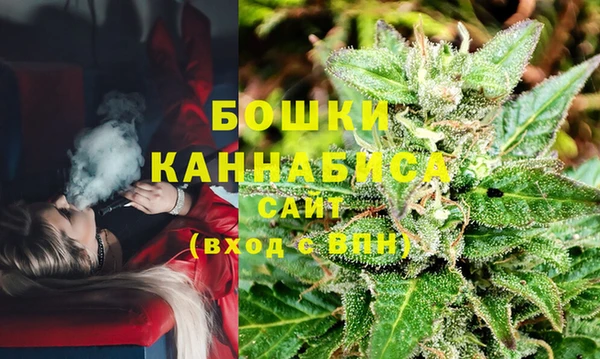 дурь Алзамай