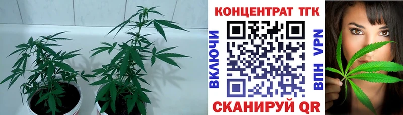 продажа наркотиков  Ардатов  ТГК жижа 